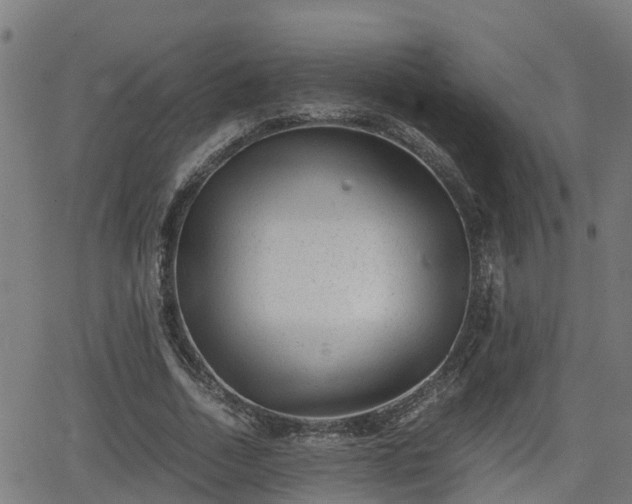 X0000062130730200512161151