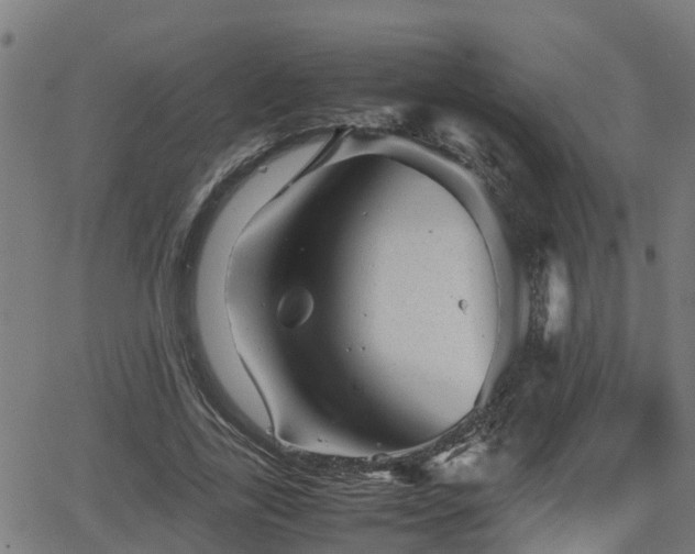 X0000062130731200512161151