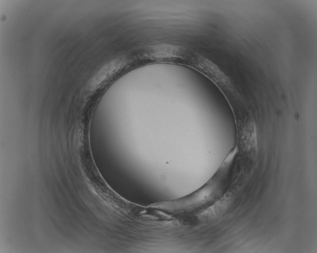 X0000062130732200512161151