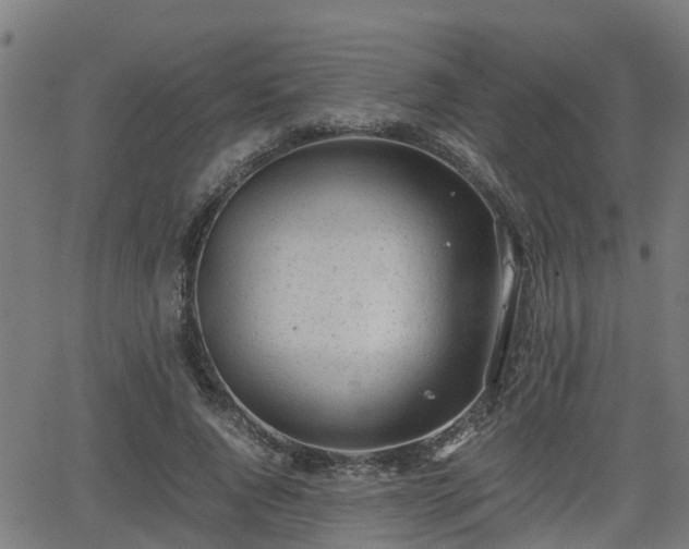 X0000062130736200512161151