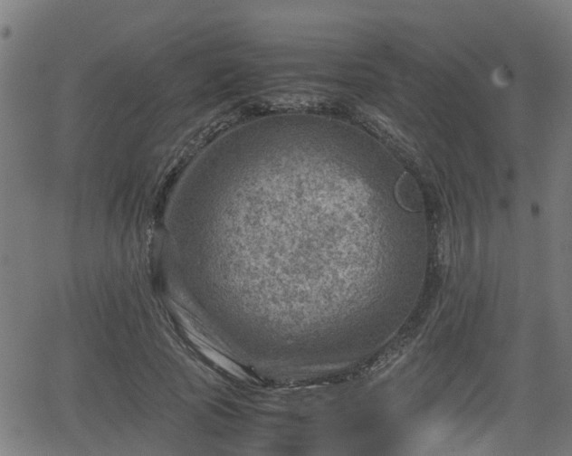 X0000062130737200512161151