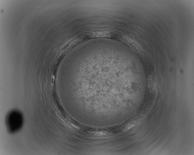 X0000062130741200512161151