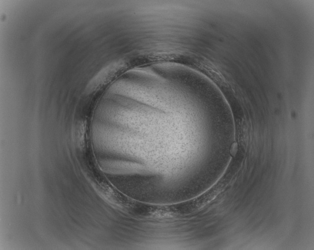 X0000062130742200512161151