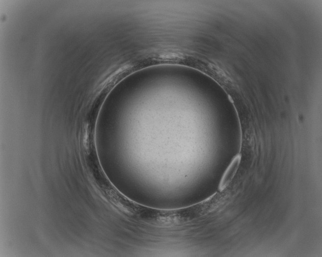 X0000062130744200512161151