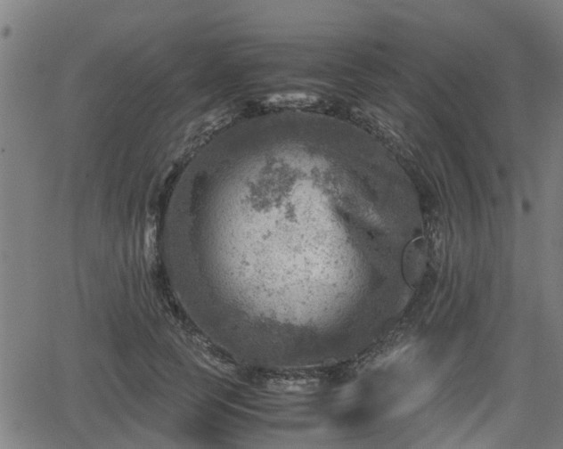 X0000062130745200512161151