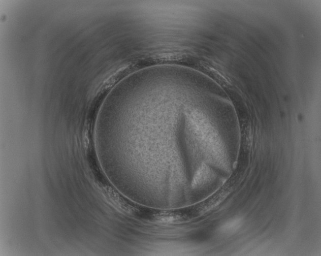 X0000062130746200512161151