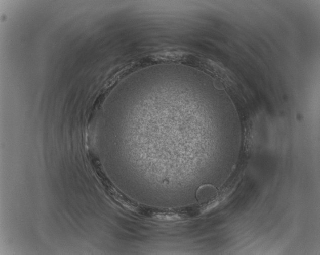 X0000062130749200512161151