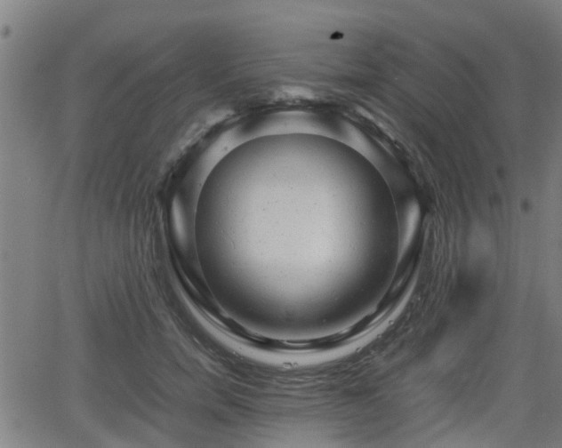 X0000062130750200512161151