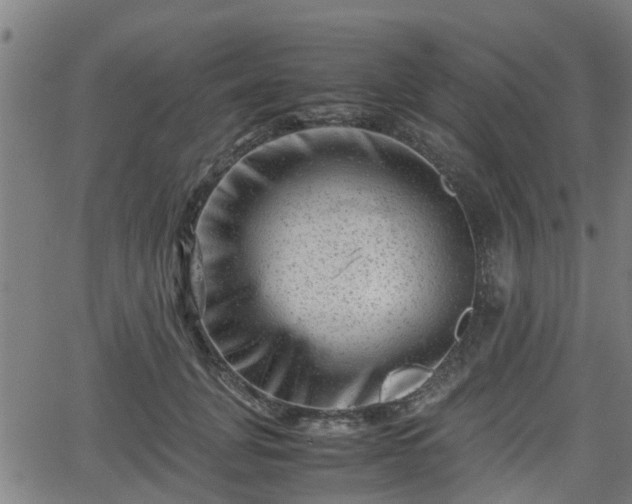 X0000062130751200512161151