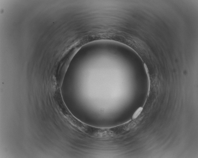 X0000062130752200512161151