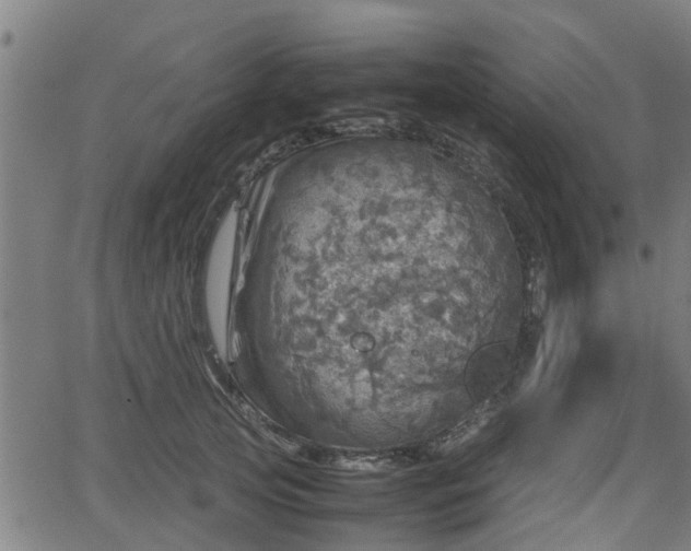 X0000062130753200512161151