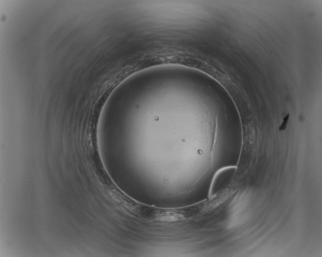 X0000062130754200512161151