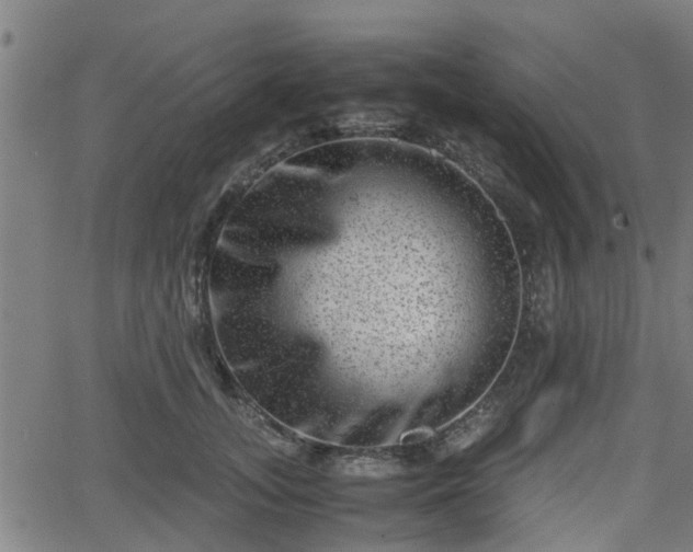 X0000062130755200512161151