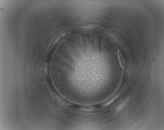 X0000062130758200512161151