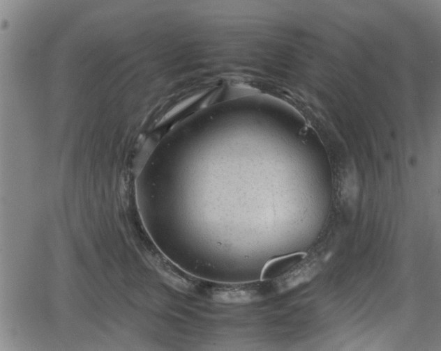 X0000062130759200512161151