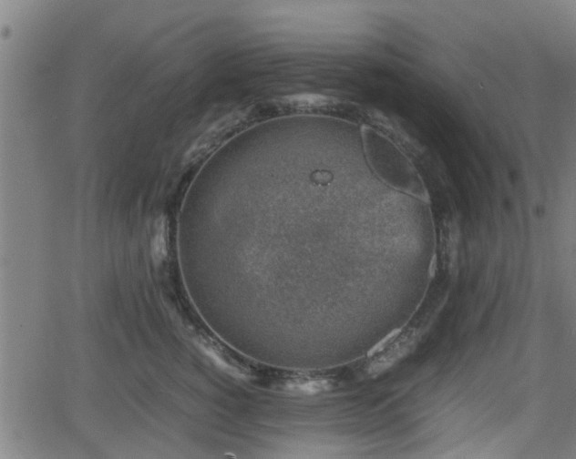 X0000062130760200512161151