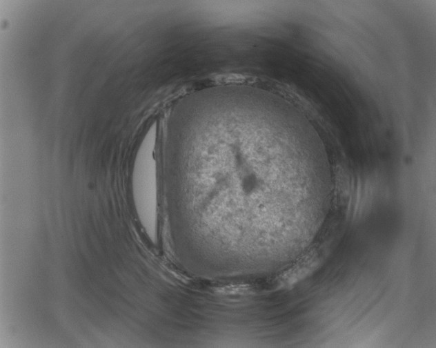 X0000062130761200512161151