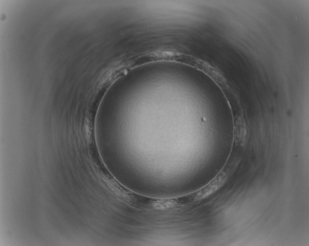 X0000062130762200512161151