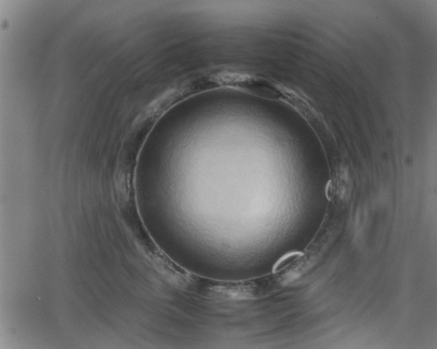 X0000062130763200512161151