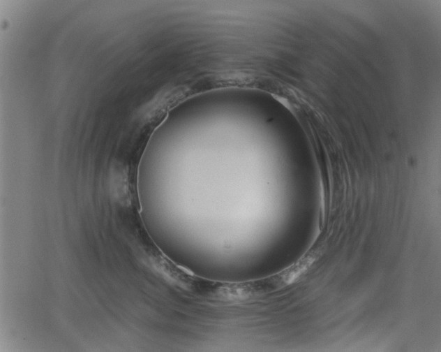 X0000062130764200512161151