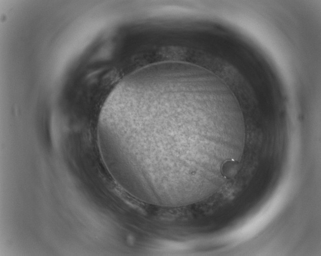 X0000062130765200512161151