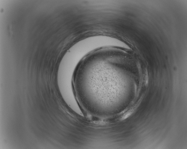 X0000062130766200512161151