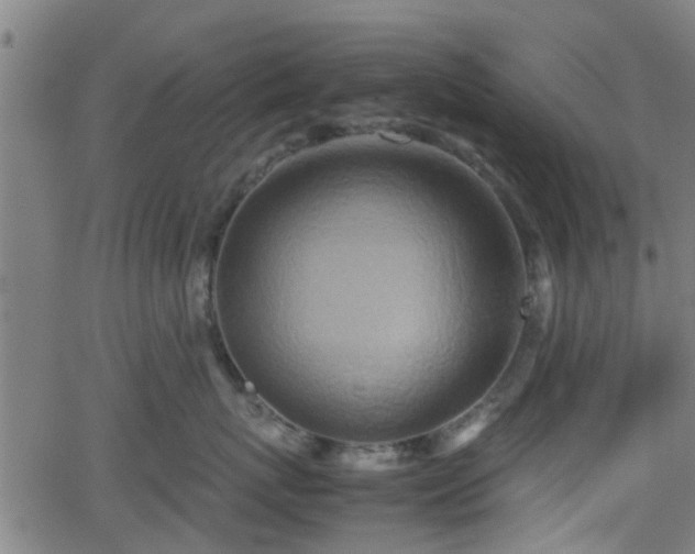 X0000062130767200512161152