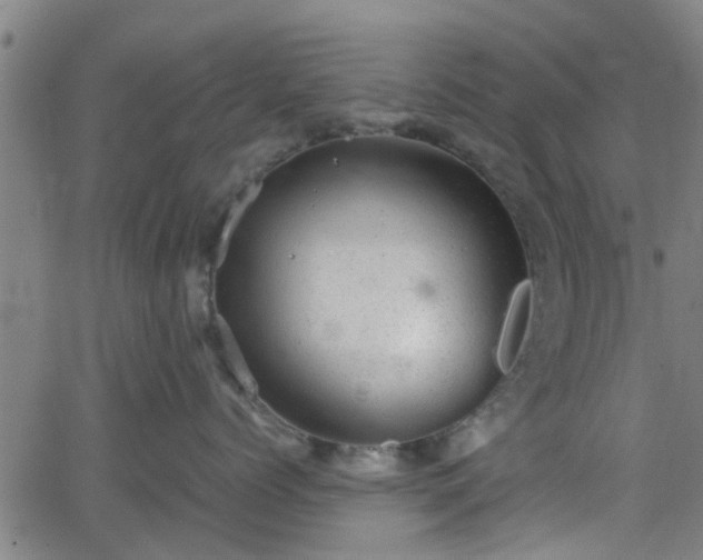 X0000062130768200512161152