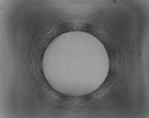 X0000062130769200512161151