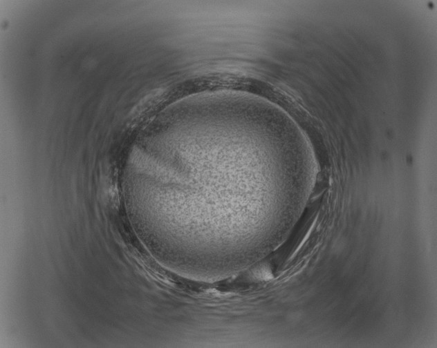 X0000062130771200512161151