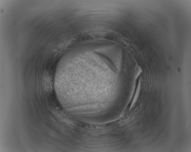 X0000062130772200512161151