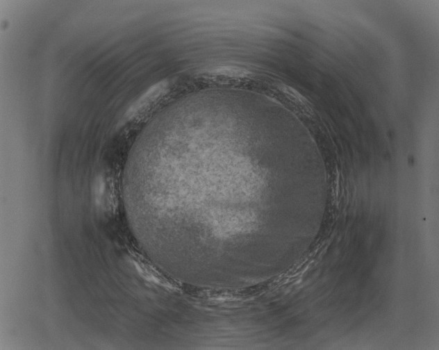 X0000062130774200512161151