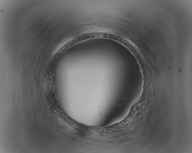 X0000062130775200512161151