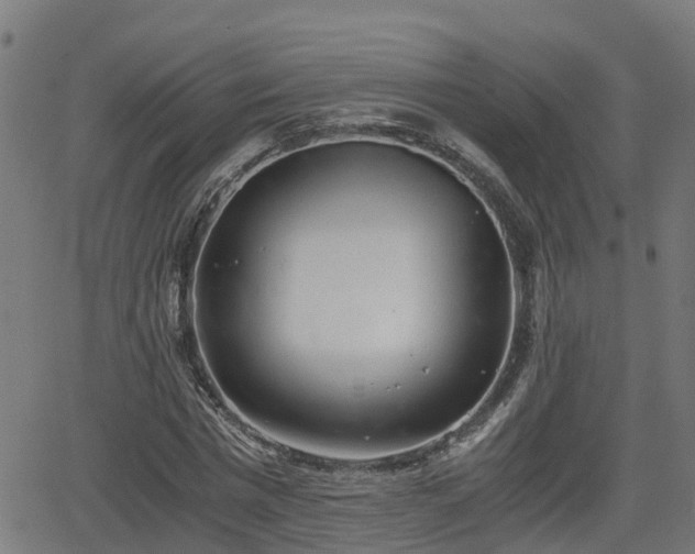 X0000062130777200512161151