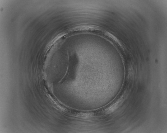 X0000062130778200512161151