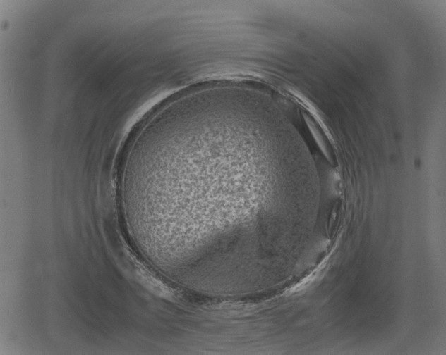 X0000062130779200512161151