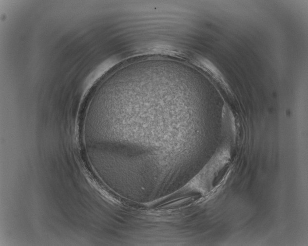 X0000062130780200512161151