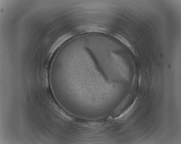 X0000062130782200512161151