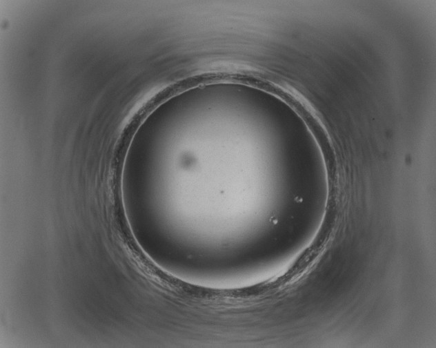 X0000062130783200512161151