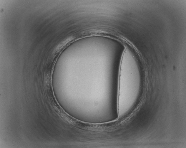 X0000062130785200512161150