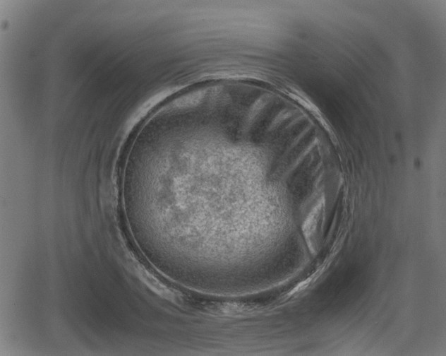 X0000062130787200512161150