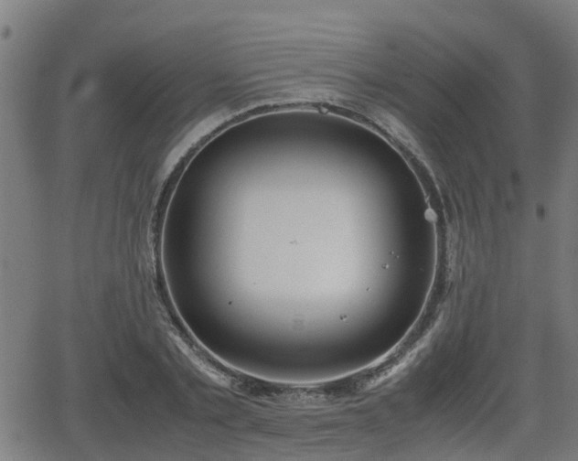 X0000062130789200512161150