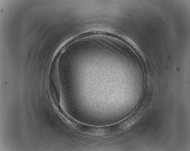 X0000062130791200512161150