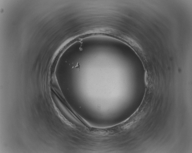 X0000062130792200512161150