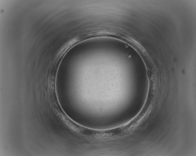 X0000062130793200512161150