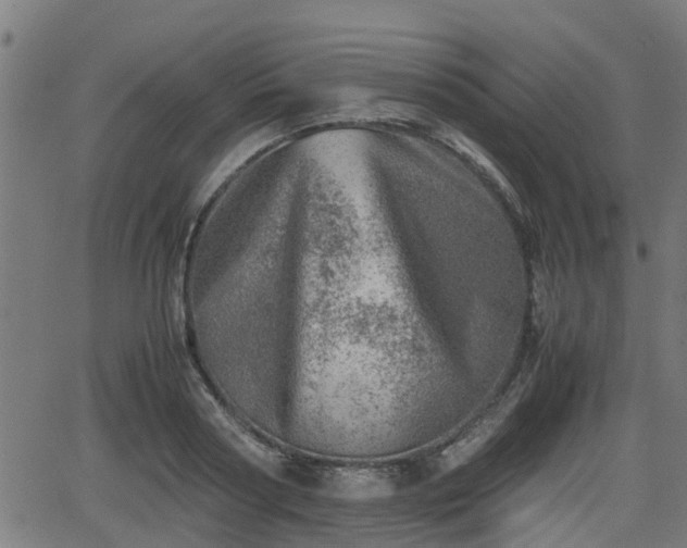 X0000062130794200512161150