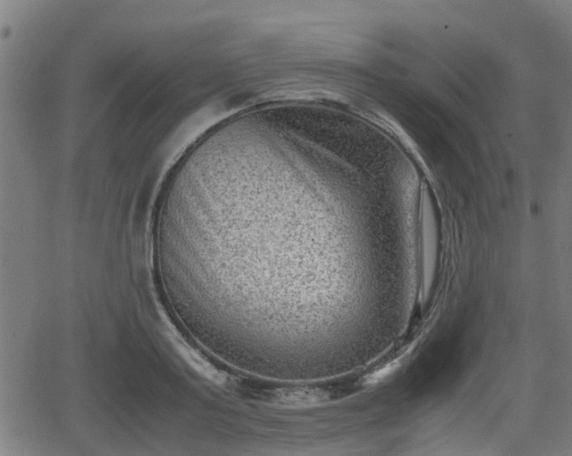 X0000062130795200512161150