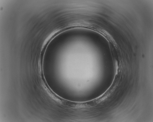 X0000062130796200512161150