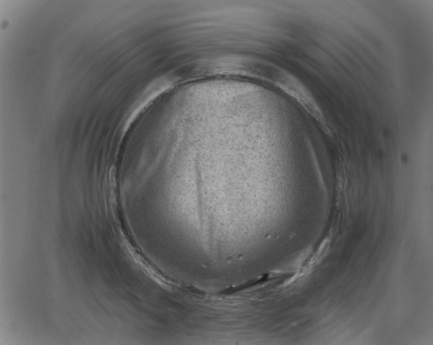 X0000062130798200512161150