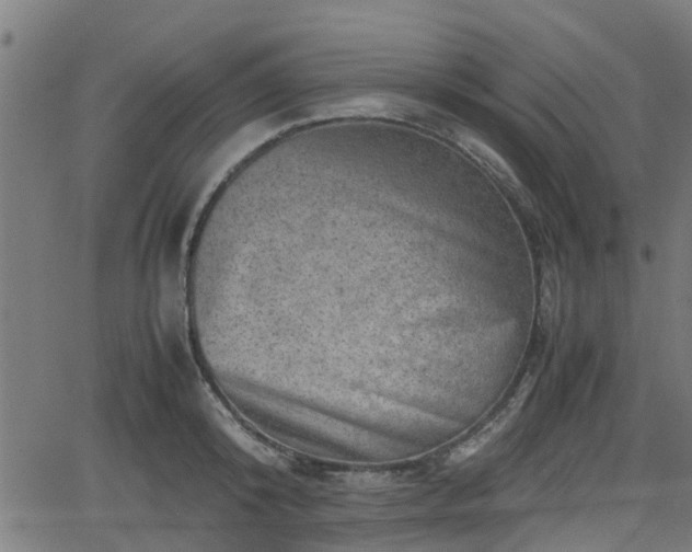 X0000062130800200512161150